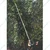 Hectare 10 Feet long Telescopic Pruner Cut and hold pruner for Branch Cutting & Fruit Plucking